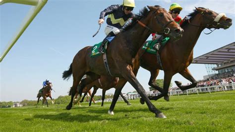 bbc sports horse racing|bbc sport horse racing live.